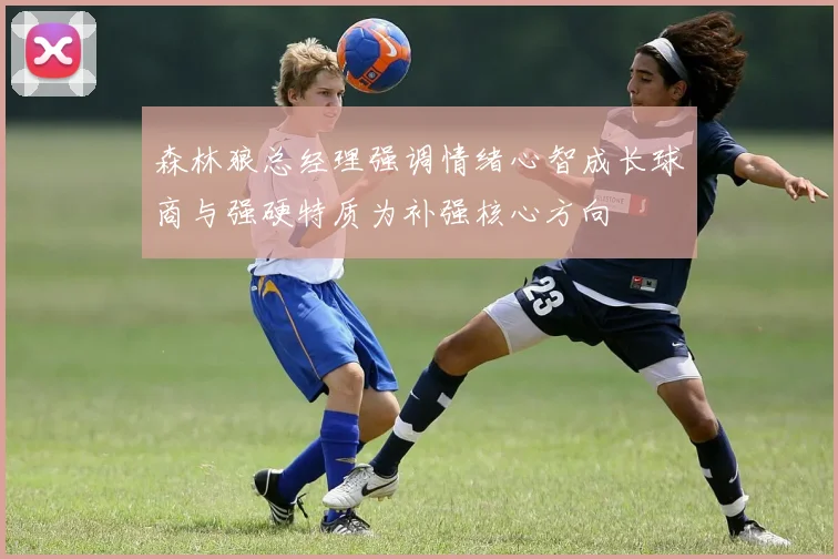 森林狼总经理强调情绪心智成长球商与强硬特质为补强核心方向